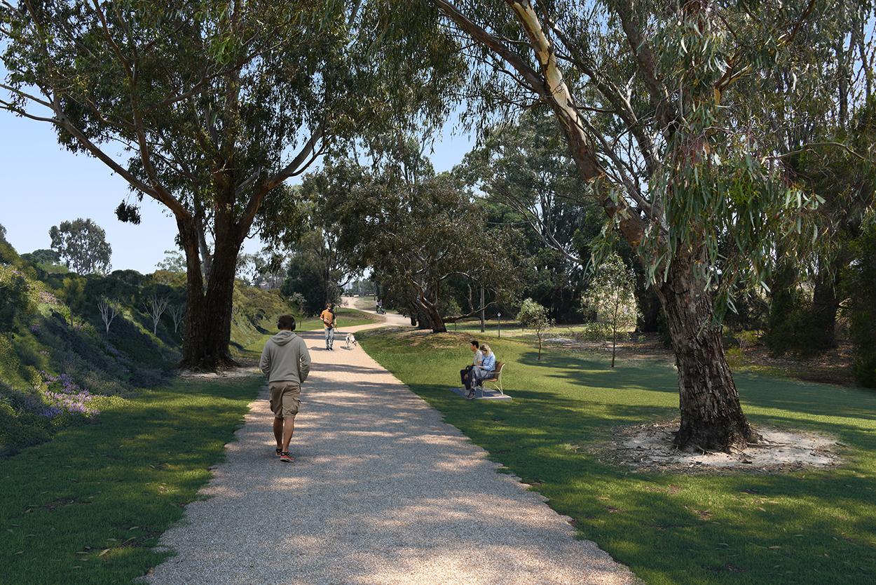 Concept design: A landscape buffer along the Henry Street Linear Reserve