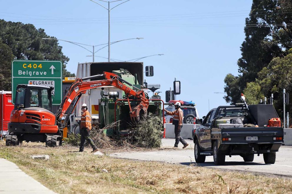 Shrub removal on Narre Warren North Road near Belgrave-Hallam Rd