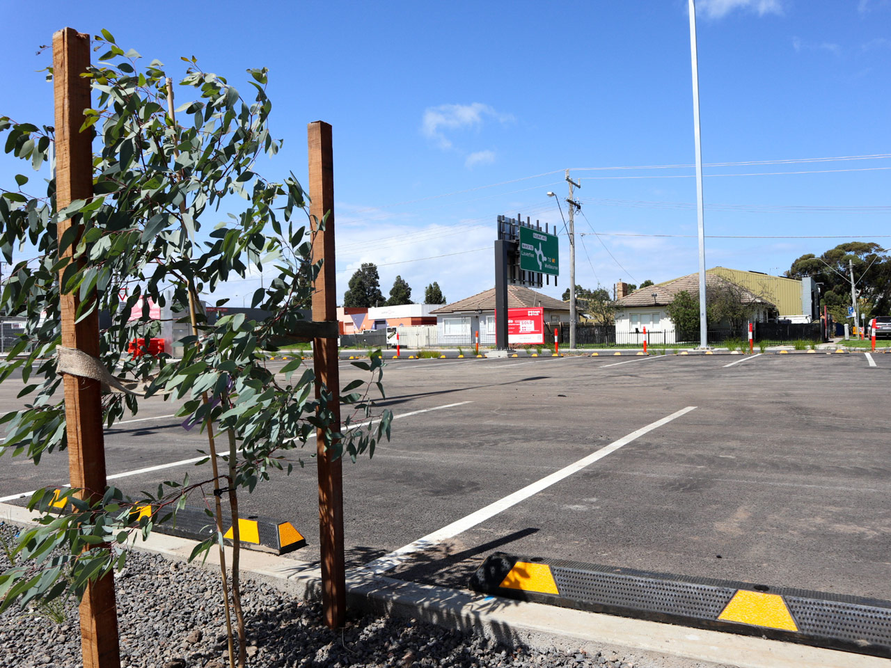 Trees and grasses in the car park