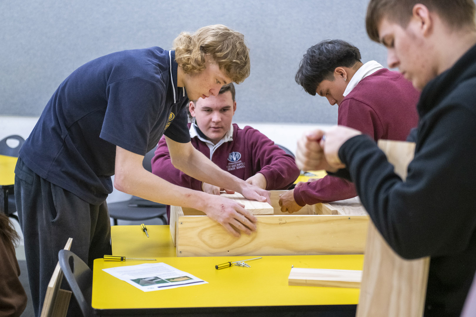 Students in a classroom assembling wooden nesting boxes