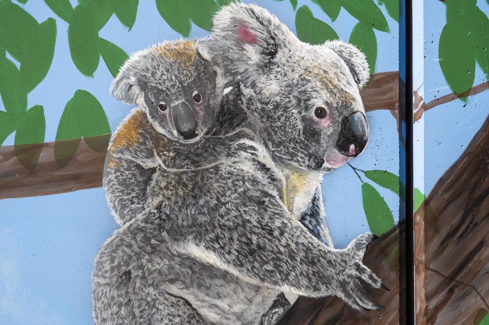 Koalas painted within mural