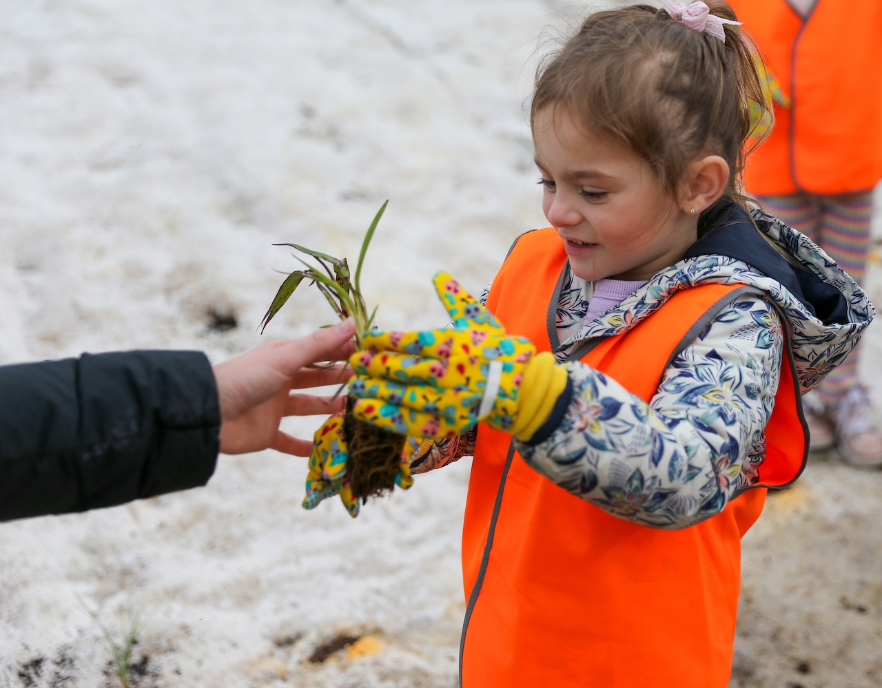 image shows child holding a small plant