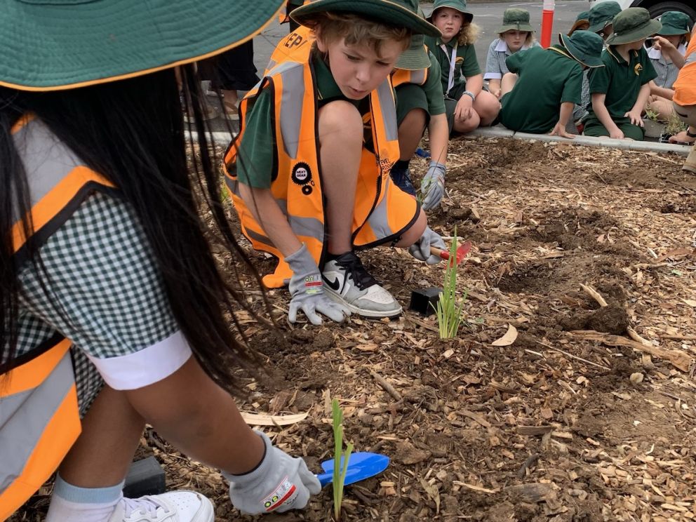 Two children planting small green shoots