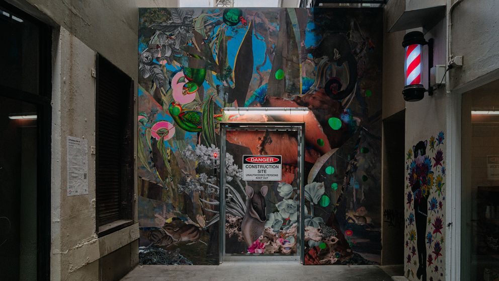 Gracia Haby and Louise Jennison: A fleeting sense of
