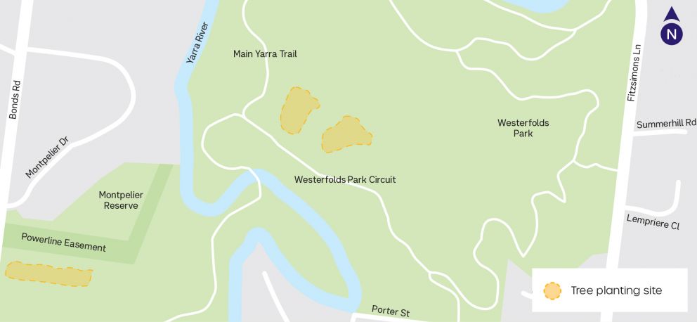 A map showing the Studley Park Gum planting sites, highlighting planting sites in Westerfolds Park near the Main Yarra Trail in Lower Plenty and Montpelier Reserve in Templestowe. 