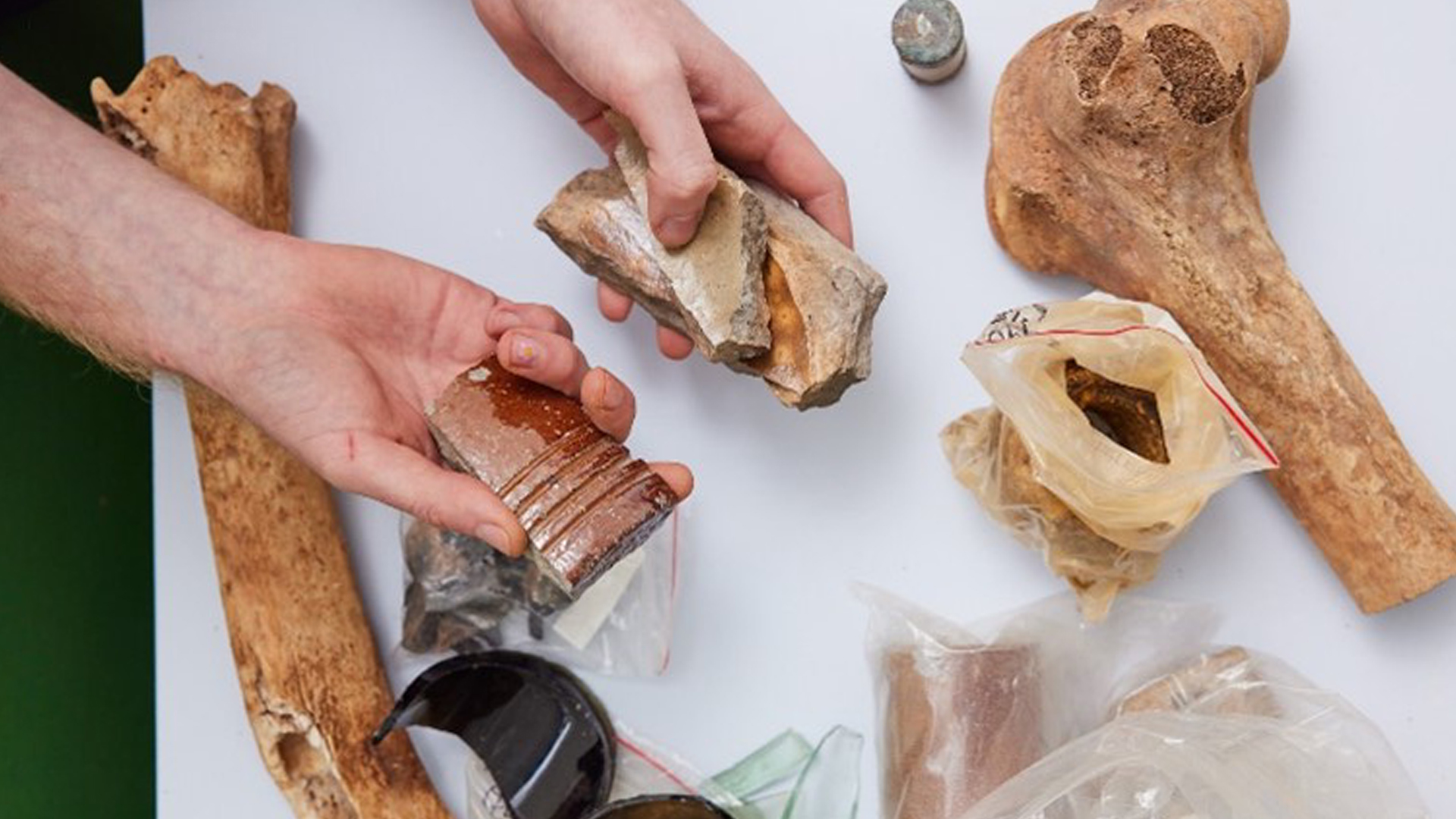 Top-down view of two hands holding some archaeological items over a table with more items