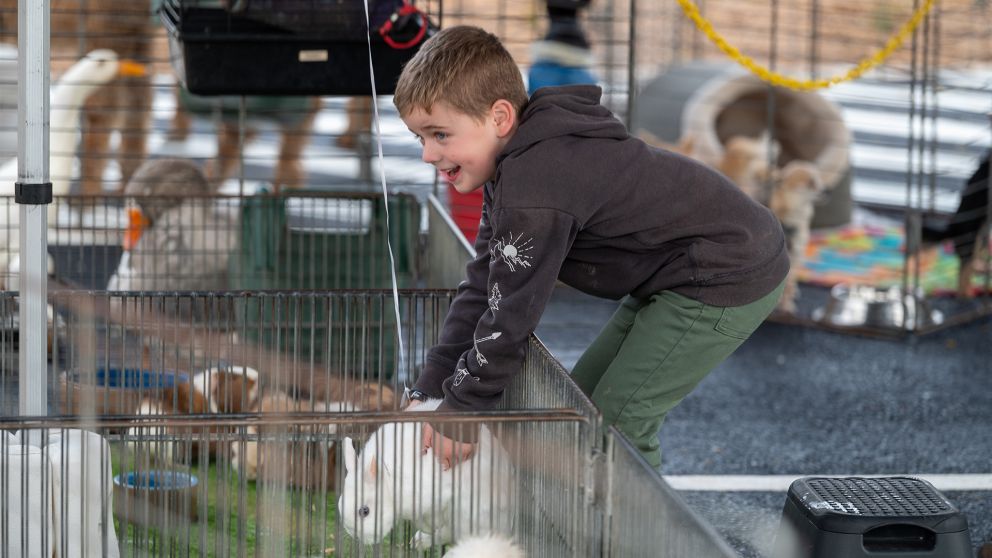 Kid holding rabbit in animal farm at Raywood community event