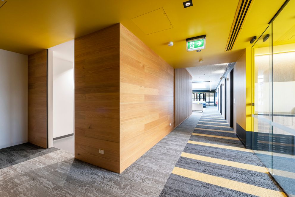 The inside of an office building with a yellow ceiling, wooden walls and carpet