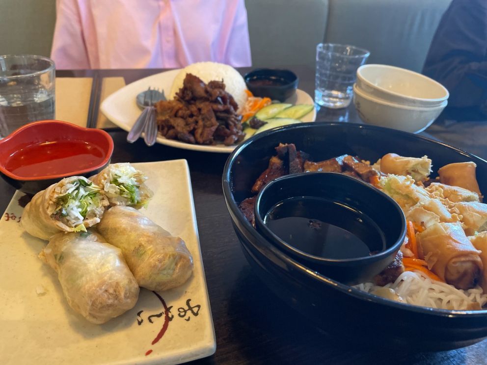 Bowl of noodles, tofu and spring rolls