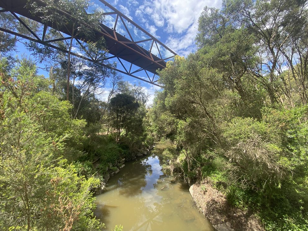 Image shows pedestrian bridge over the Gardiners Creek