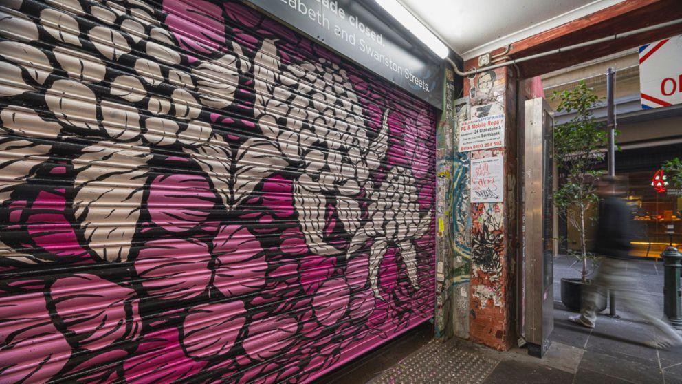 Close up of Manda Lane's artwork on a roller door in Degraves Street.