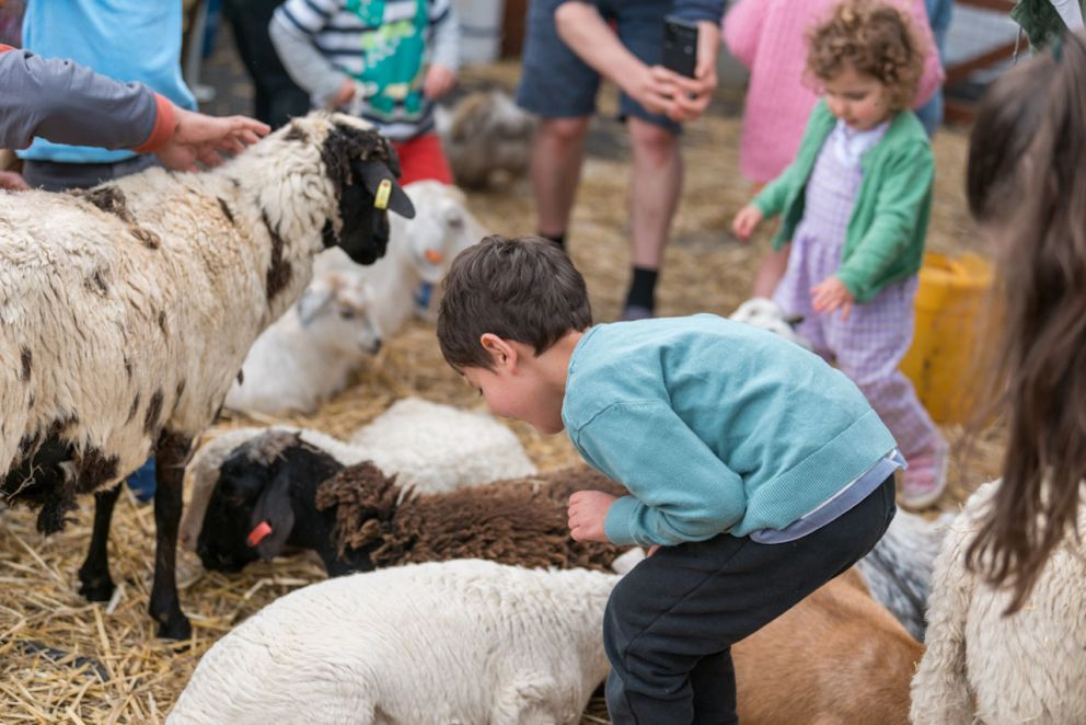 Local kids enjoying the petting zoo