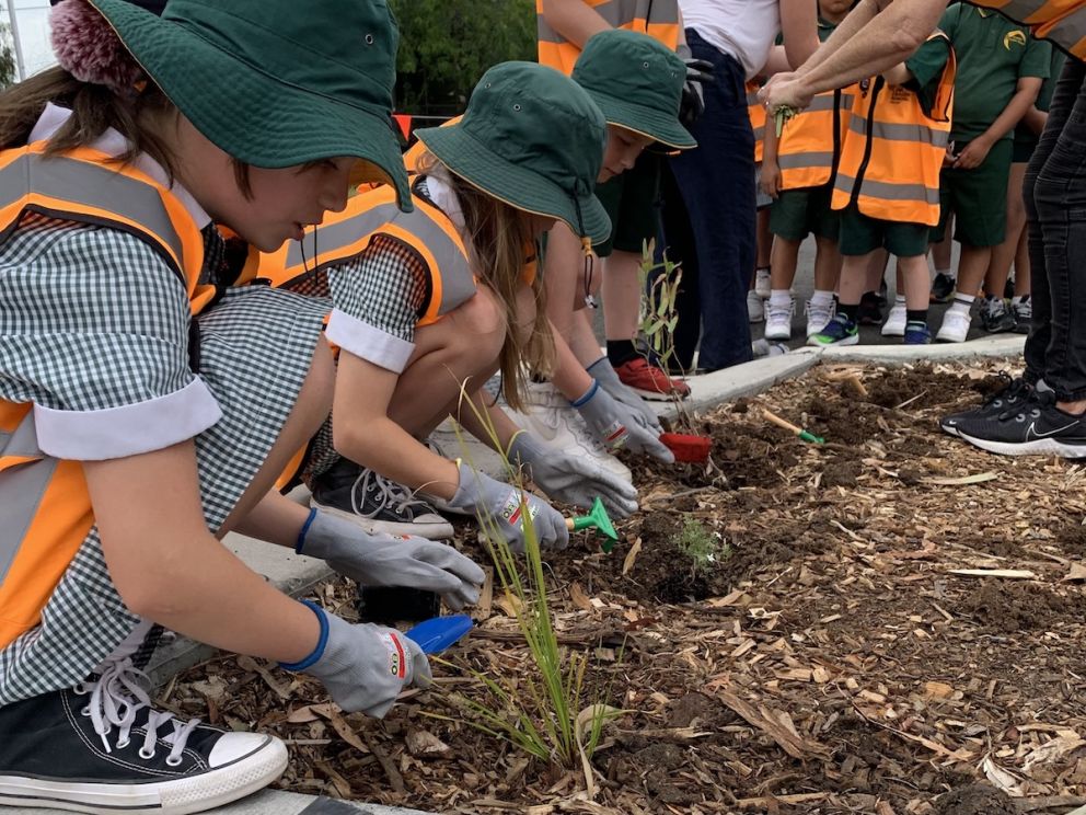 Three children planting small green shoots