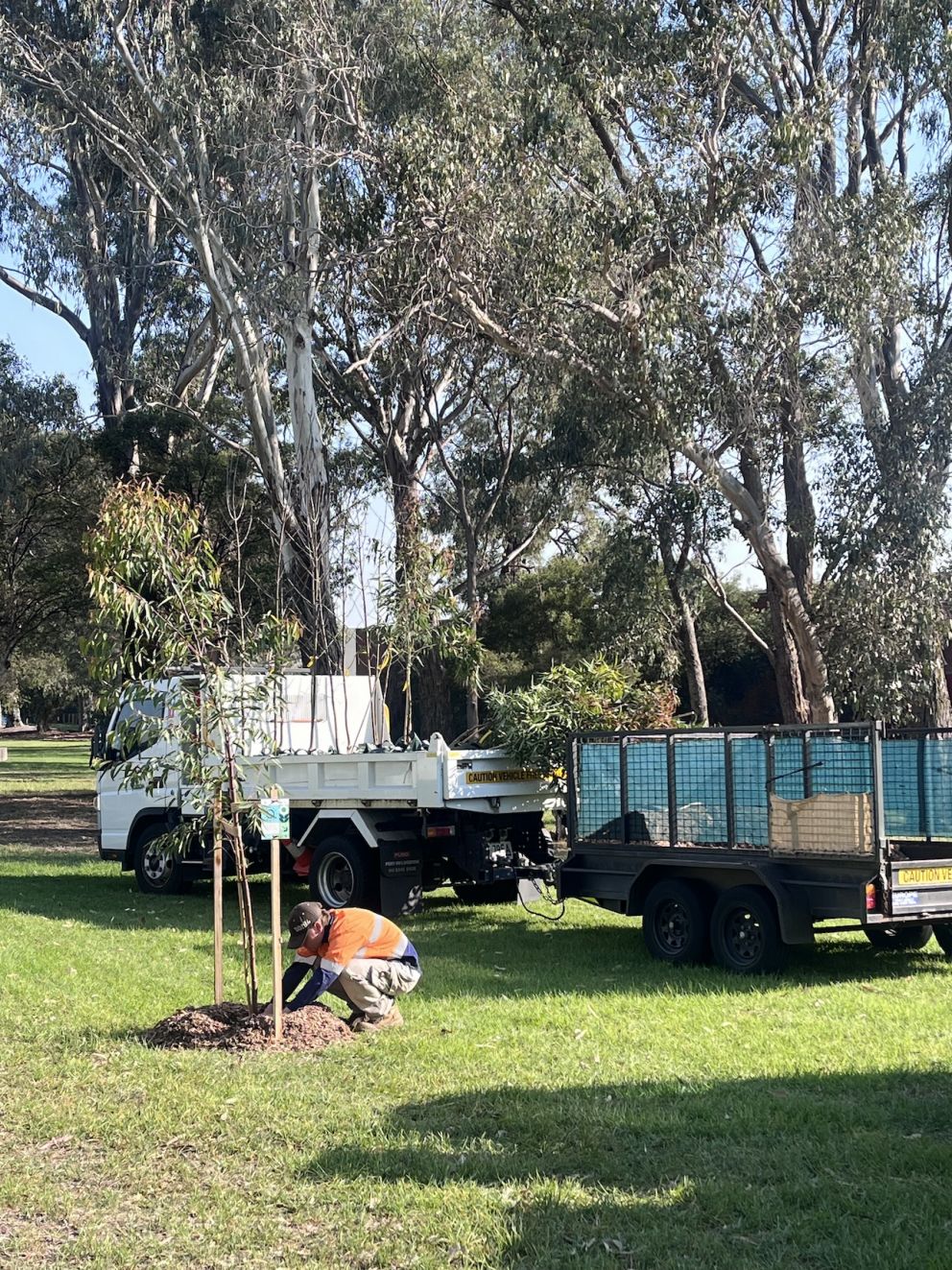 Workers planting in Woodcock Reserve