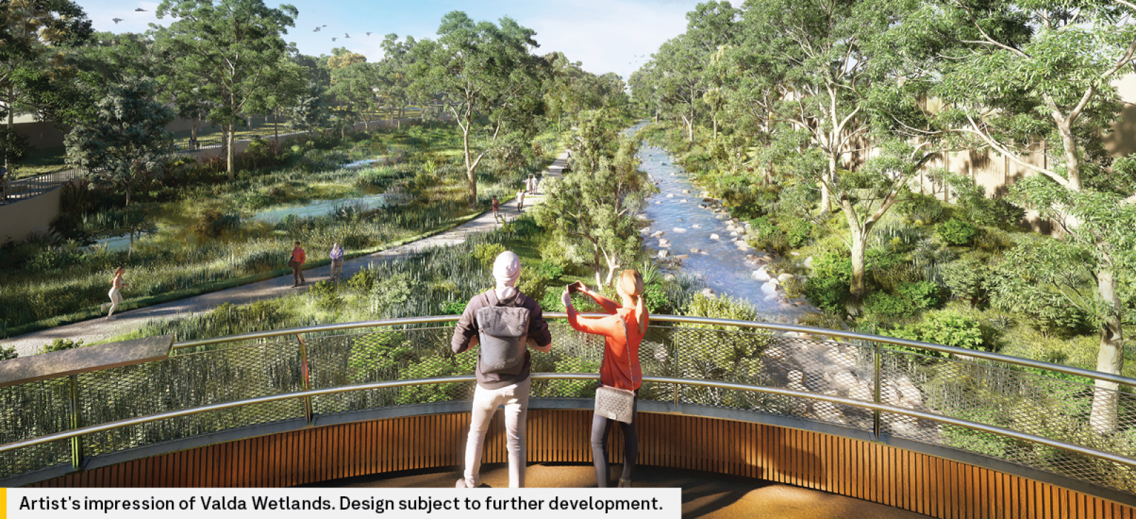 Valda wetlands render