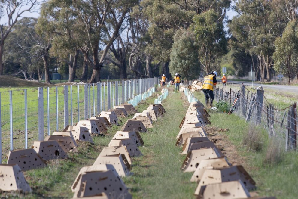 These pods will biodegrade over time