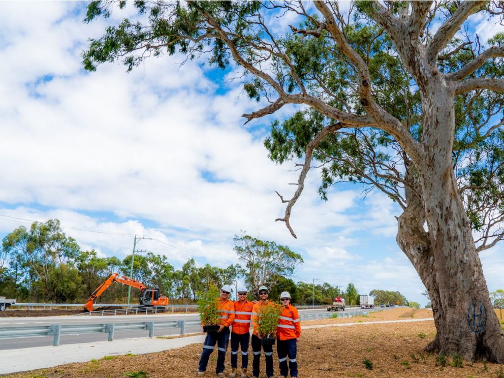 Thompsons Road Upgrade - Tree planting May 2019