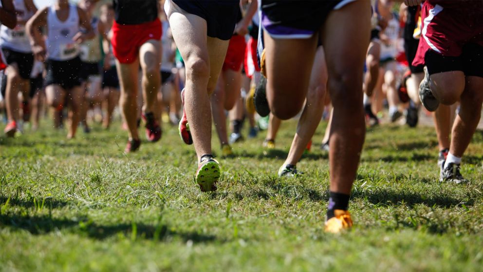 Low angle shot of people running in a cross country race on a grass field.