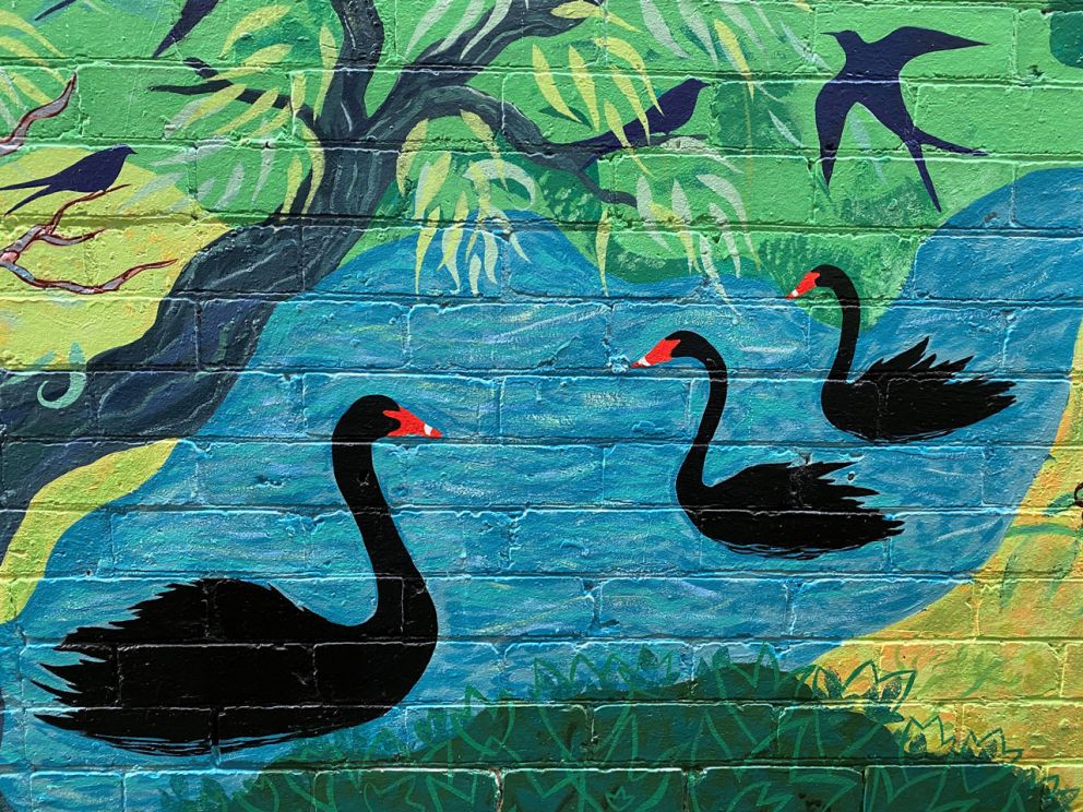 Painting of black swans on water