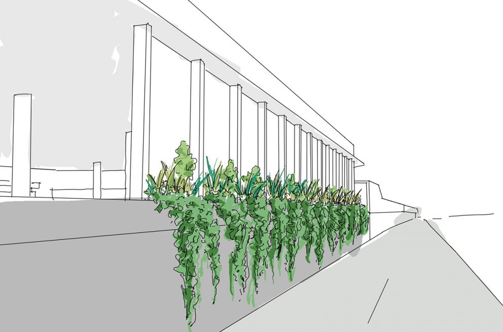 A drawing of the new planter box along the station building in Beresford Street. Artist impression only – subject to change.