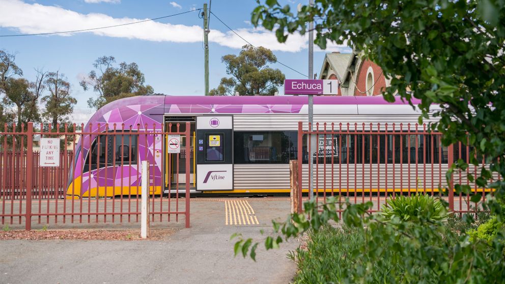 Camera angle from behind trees, capturing VLocity train at Echuca Station