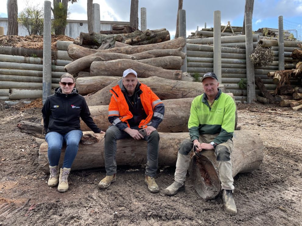 Logs have been donated from CLU sites to Treasuring Our Trees. Pictured are Naomi Armstrong of LXRP, Treasuring Our Trees  founder David Ferrier and ToT volunteer Ron Kraan