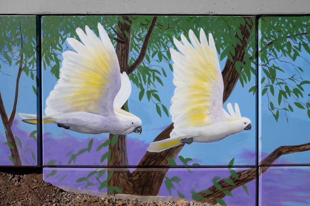 Sulfur crested cockatoos painted within mural