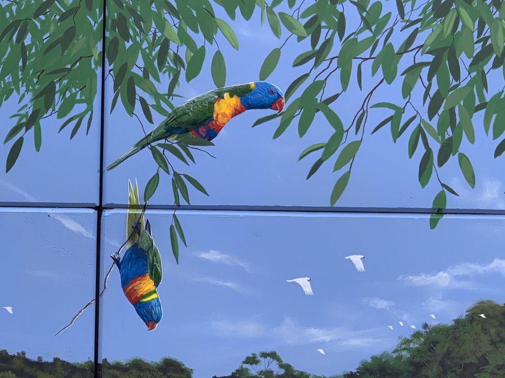 The mural features birdlife seen in Sunbury