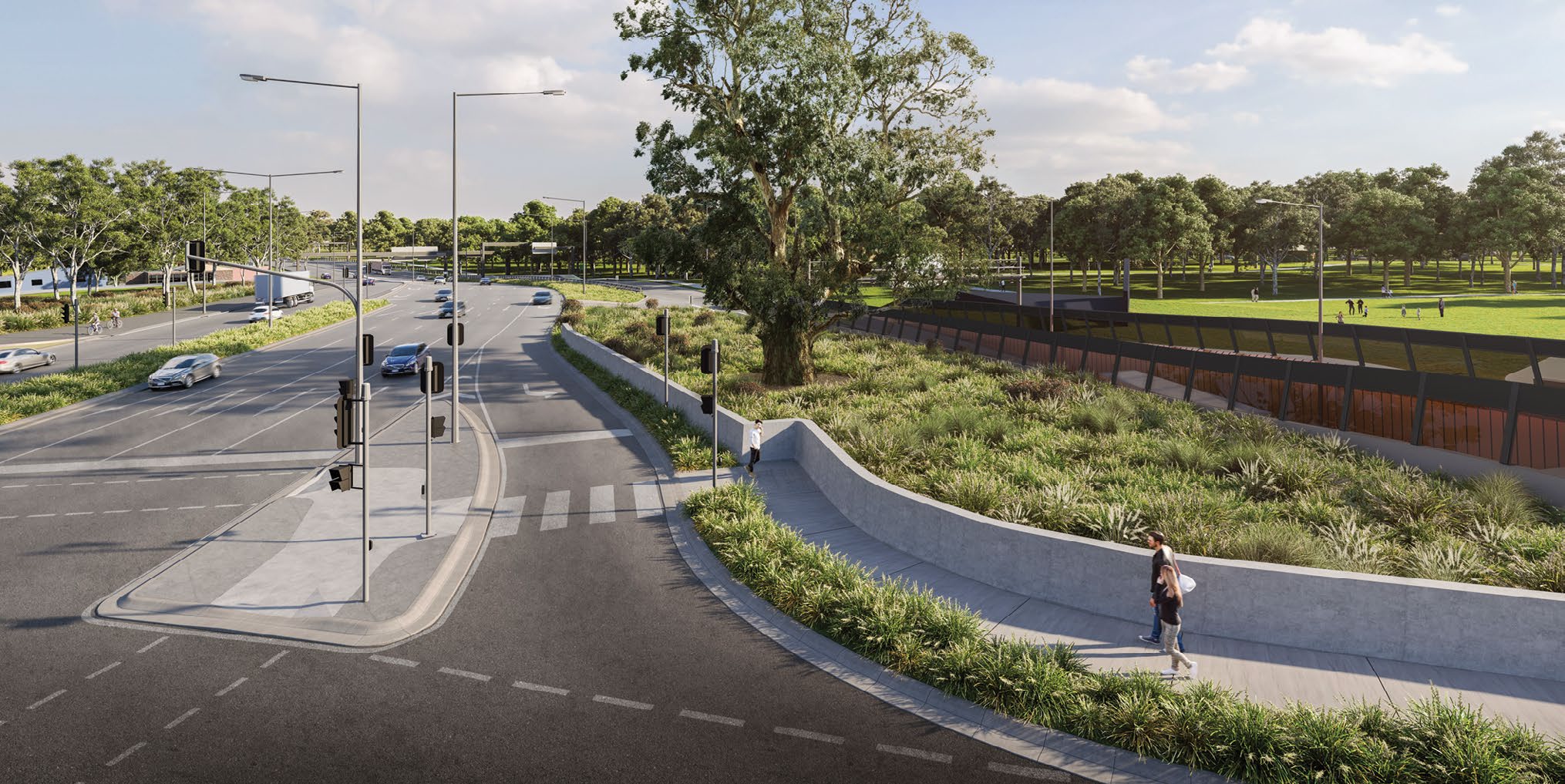 Traffic lights, vehicles on road, trees and plants.