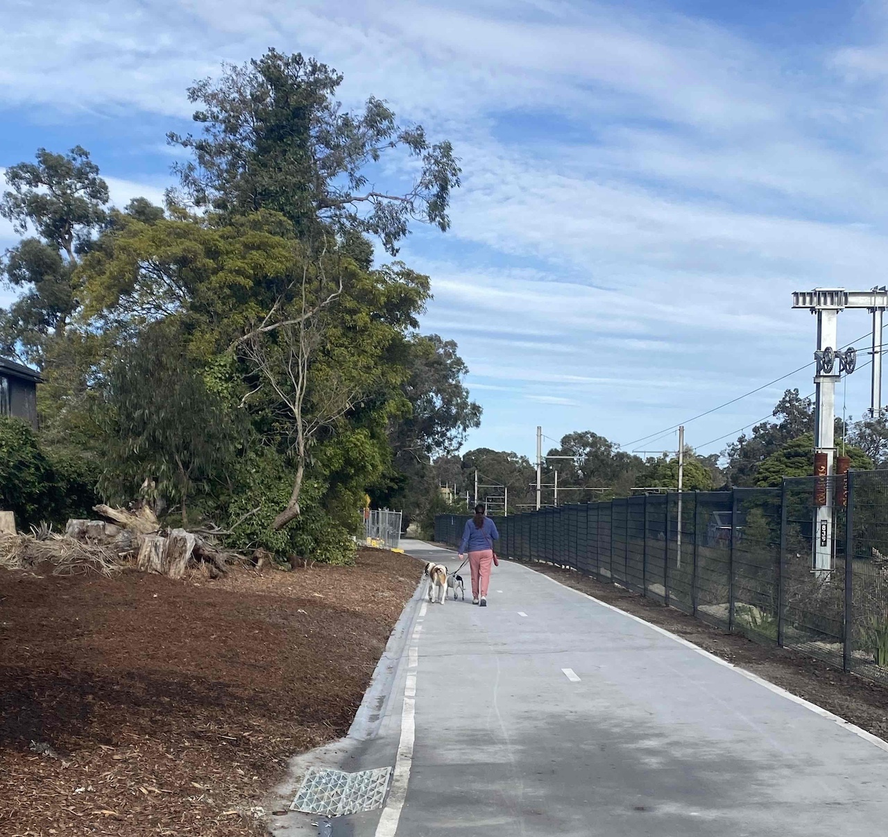 A lady walks a dog along the new shared use path. 