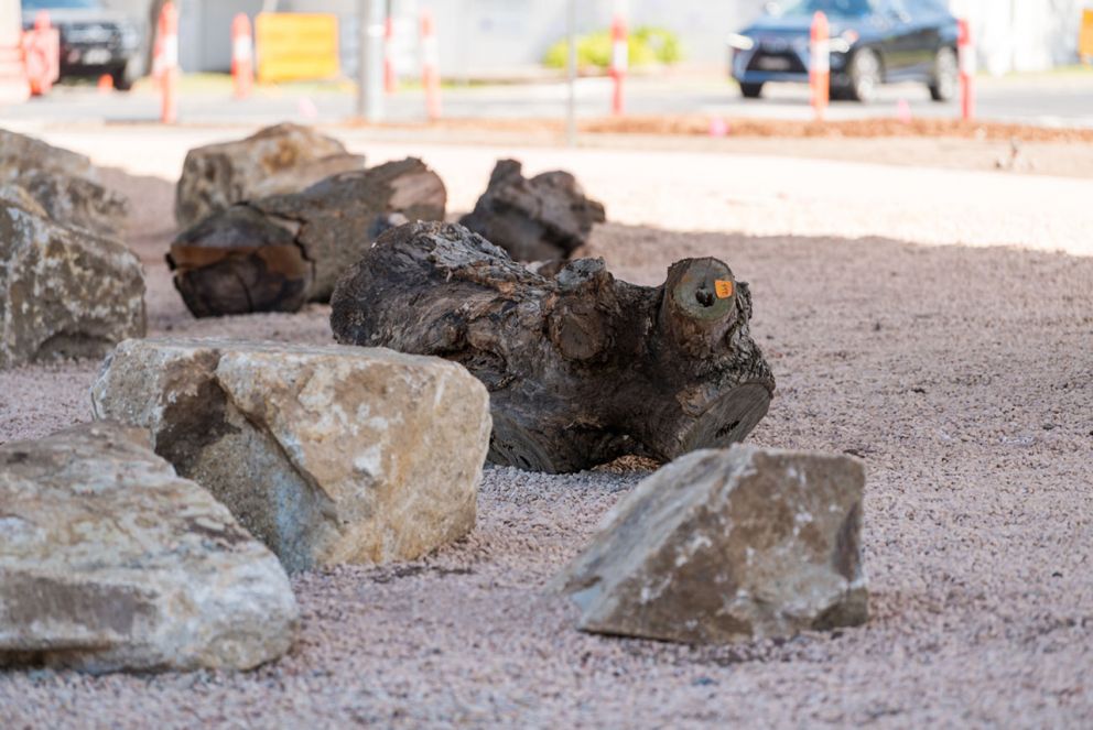 Repurposed logs in Parkdale's open space surrounded by rocks