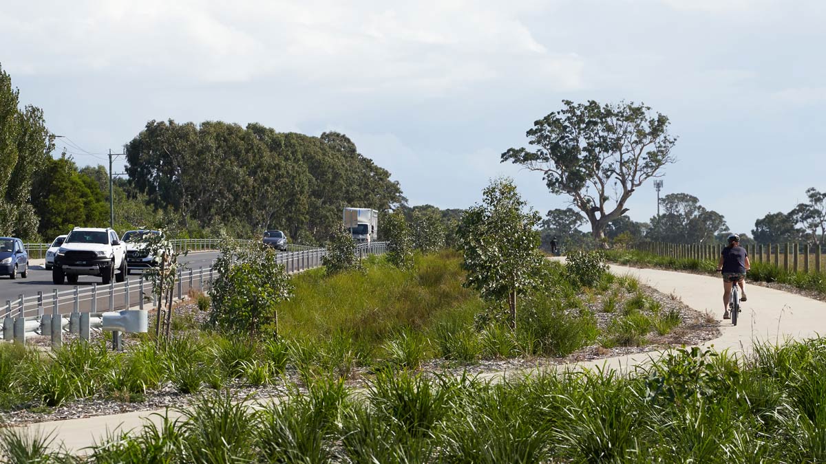 Road and bicycle path with revegetated area alongside