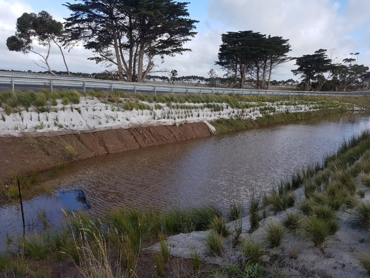 One of 7 frog pond habitats along the Princes Highway West project.