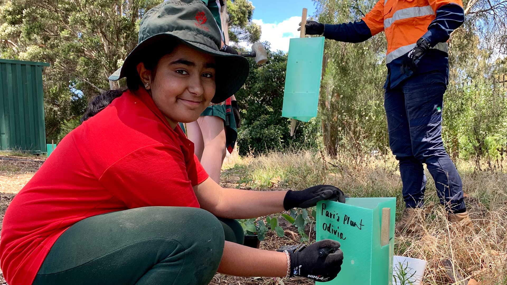 A student smiling and planting a sapling in the Belle Vue Primary School grounds. A gardener wearing protective clothing is helping another student planting in the background.