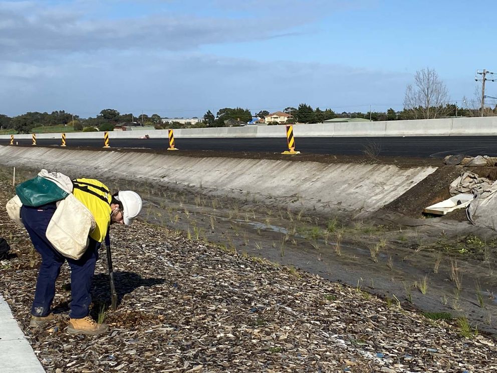 Landscaping works on the Mordialloc Freeway at the Dingley Bypass