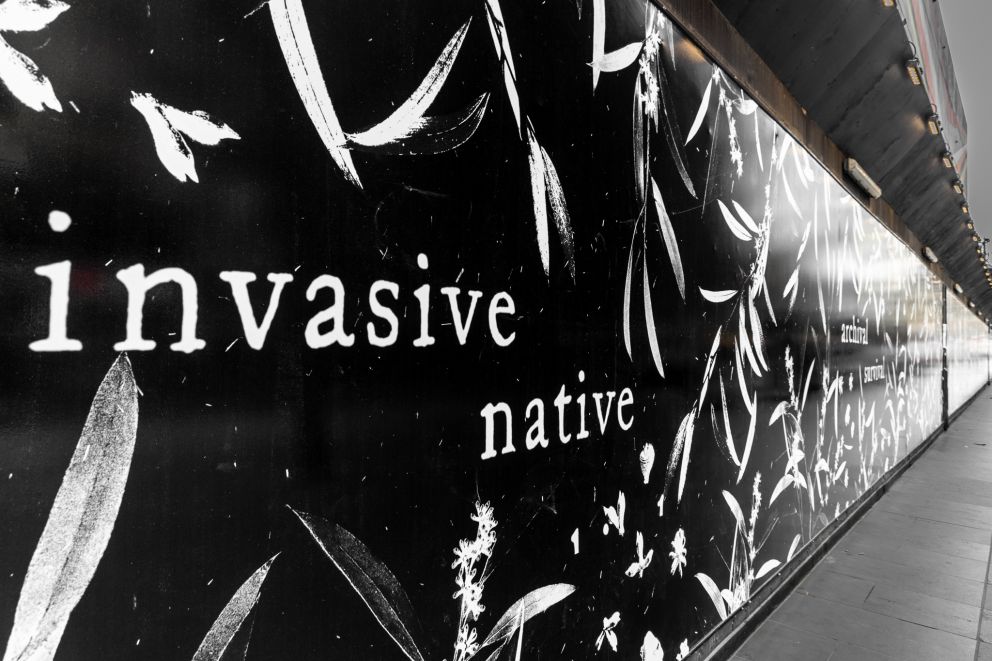 Black and white artwork with the words 'invasive native'