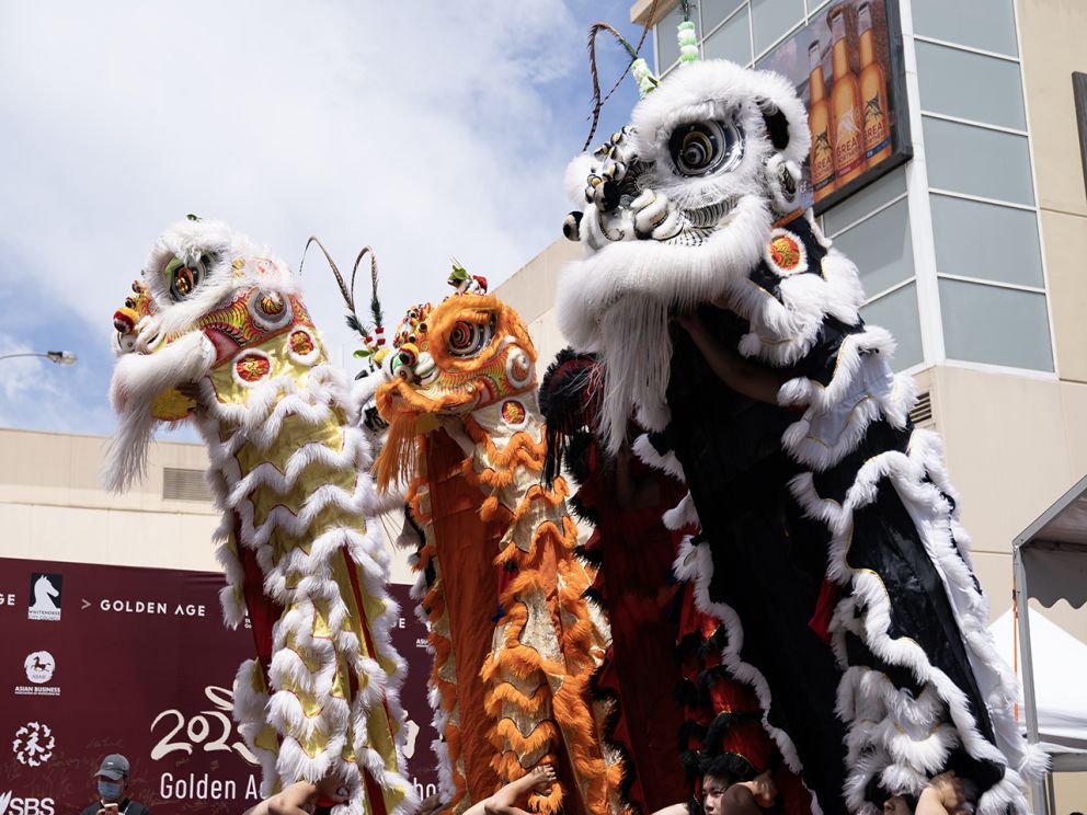 This image shows a traditional performance that is held during the Box Hill Lunar new Year festival 2023