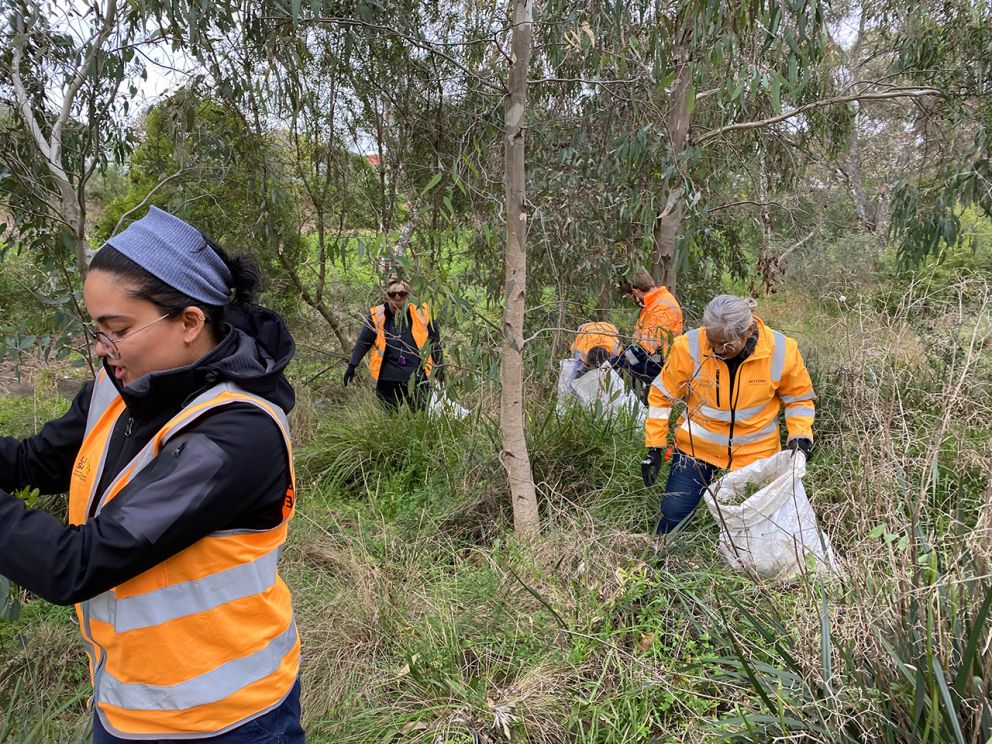 Removing bags of weeds from the area