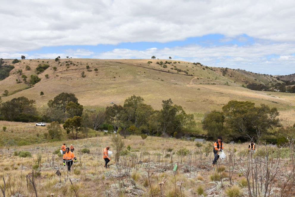 More than 25 project team members volunteered to help on the day