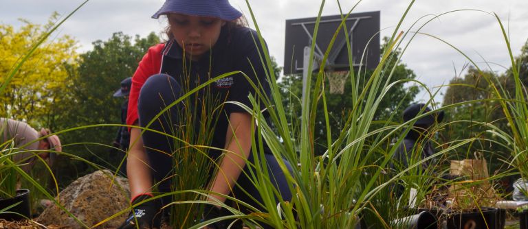 Planting up a storm with Pakenham Springs Primary School