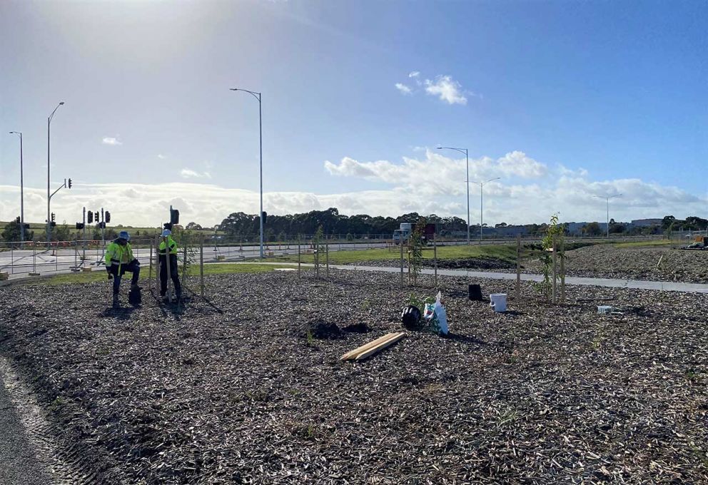 Landscaping works on the Mordialloc Freeway at the Dingley Bypass