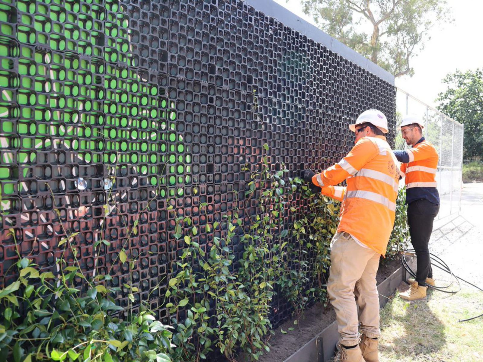 Two workers installing plants on the green vertical fence.