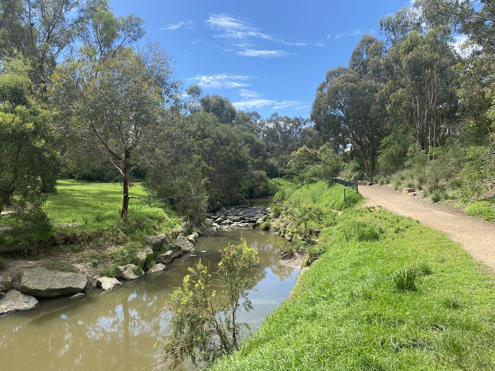 Image is showing the Gardiners creeks flowing alongside the walking track