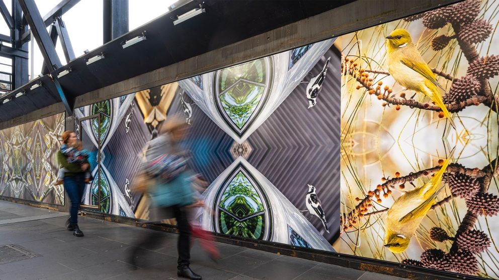 Multiple panels of Kent Morris' artwork in City Square