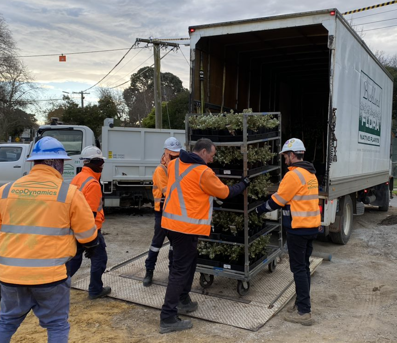 Plants arriving at the new Union Station precinct