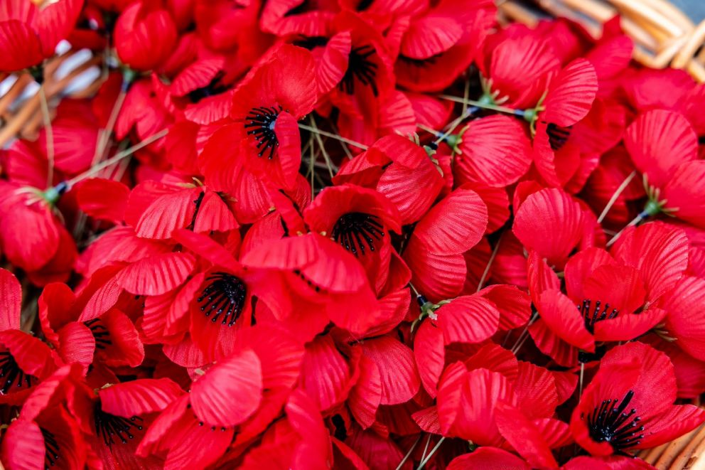 The crowd that gathered on Remembrance Day were not only honouring the past, but also marking a new future