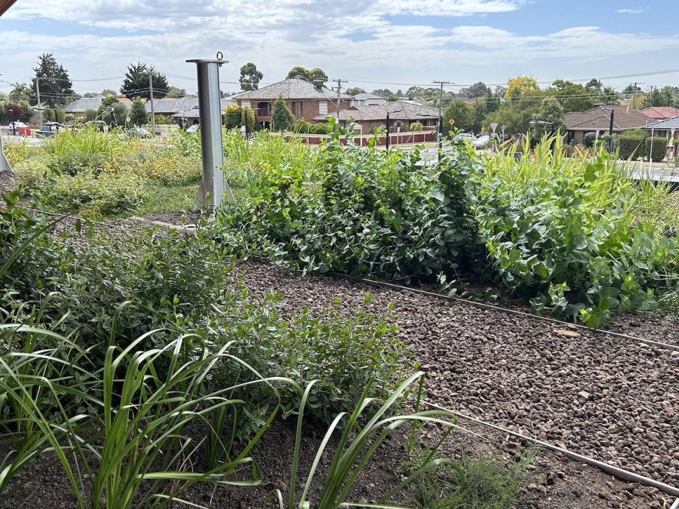 Rooftop garden at Deer Park Station