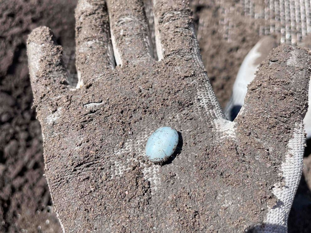 Clayton artefacts December dig