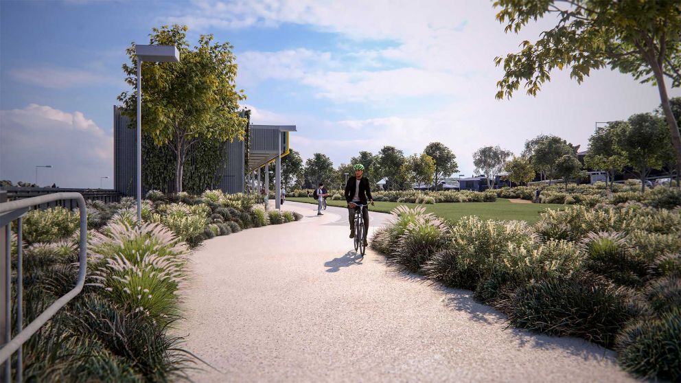 Artist impression of Bulleen Park and Ride green roof and open space for walking and cycling. A man on a bike is cycling on a path away from the green roof and bus platforms.