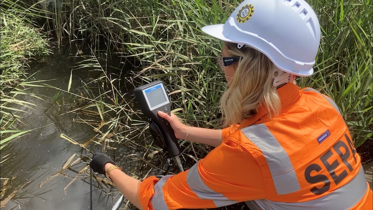 Georgia from the Environmental and Sustainability team testing the water quality of the Dwarf Galaxias' habitat